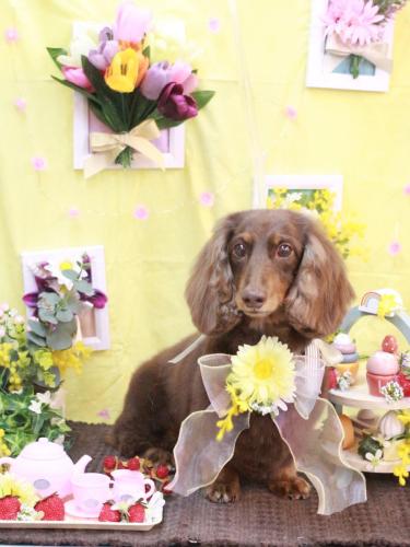 20230321ジョナくん